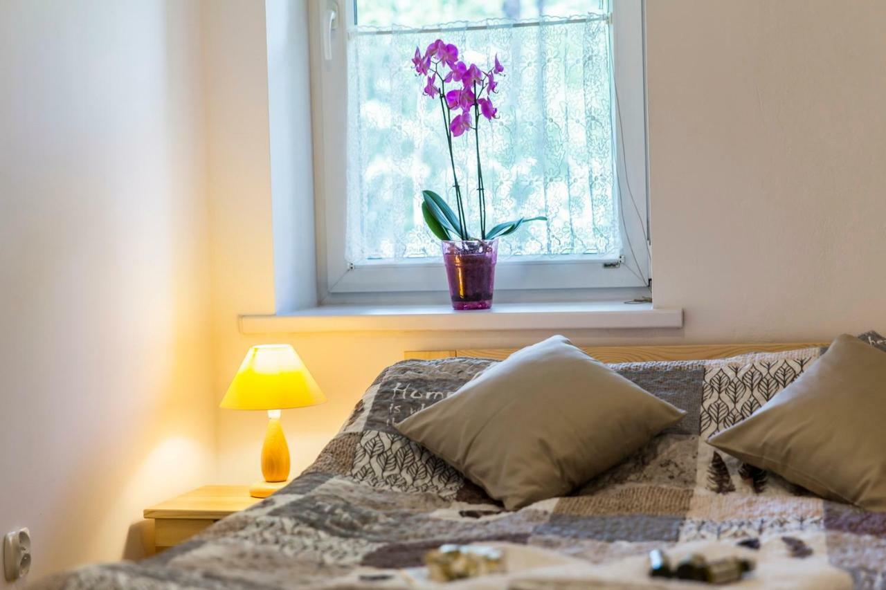 Zakopianski Apartament Zakopane Dış mekan fotoğraf